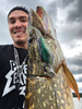 Headbanger Shad 16cm - Firetiger Stealth - Pływający