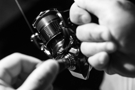 Kołowrotek Shimano Stella C3000 FK