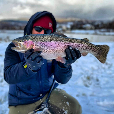 Przynęta Libra Lures Goliath 4.5cm | 019 - Hot Pink | brak zapachu | 10 szt.