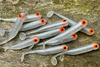 Guma Great Fish GF1 4,9cm | Silver Pearl | rybny | 10 szt. | Edycja Limitowana Typ od Ryb