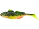 Fire Goby