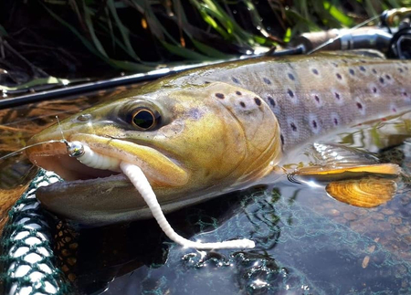 Przynęta Libra Lures Dying Worm 7cm | 000 - Glow UV Green | kryl | 15 szt.