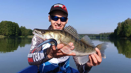 Guma jaskółka Mikado Saira 20cm, kolor 3D Limited Roach 