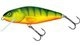 Hot Perch