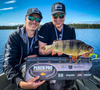 Przynęta Headbanger BangerRibs 6,9cm - Electric Shad - 1 szt.