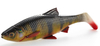 Guma Savage Gear 4D LB River Roach 22cm | Perch