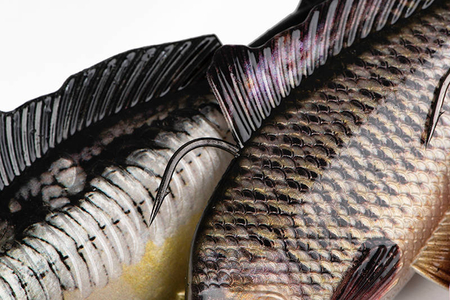 Guma Fox Rage Super Natural Replicant Carp 18cm | Mirror Carp