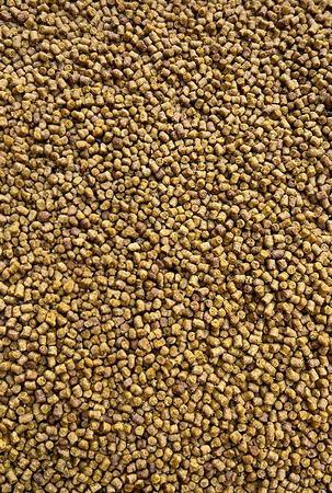 Micro Pellet Feeder Bait 2mm | Epidemia