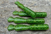 Guma Great Fish GF2 Leech 6cm | Glitter Green | rybny | 10 szt.