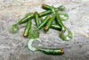 Guma Great Fish GF1 Twister 4,9cm | Glitter Green | rybny | 10 szt.
