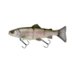 Clear Rainbow Trout