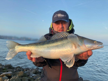 Wobler Siek Ukleja SR 8cm - pływający - 12
