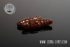 Przynęta Libra Lures Largo 3.5cm | 038 - Brown | ser | 10 szt.