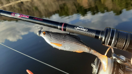 .Przynęta BERKLEY Pulse Realistic Roach 15cm - 33g - Firetiger 