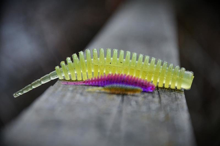 Gumy FishUp Tanta 5,0cm | 2" | #049 Orange Pumpkin/Black | 9szt.
