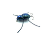 Wobler Gloog Magni 3cm | 2,5g | pływający | CB