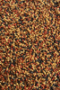Micro Pellet Feeder Bait Prestige 2mm | Spice (Pikantna Kiełbasa/Robin Red)