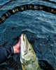 Podbierak Westin W3 CR Landing Net | rozm. XL
