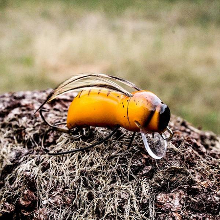 Wobler Engima Baits Osa 3,5cm | Osa Pospolita | pływający