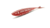 Guma Nays SPLT 8"| 20.3cm| C-08| 2 szt.