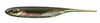 Fish Arrow Flash-J 2" - Kosan Ayu/Aurora #26 - 1 szt.