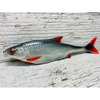 Guma SEWRO CUSTOM BAIT Płoć 19,5cm - naturalny ogon