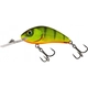 Hot Perch