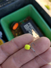 Zestaw FEEDER BAIT Mikron Wafters - 4/6mm - Kryl&Kałamarnica  + Sweet Corn + Truskawka&Ryba  