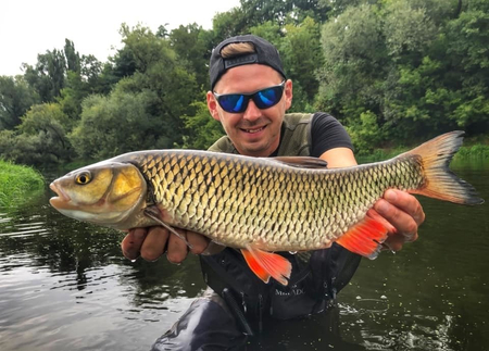 Wobler Wob-Art Smużak 2,5cm | 2,5g | Biegacz złocisty
