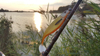 Guma Westin ShadTeez High 19cm | Tiger Perch