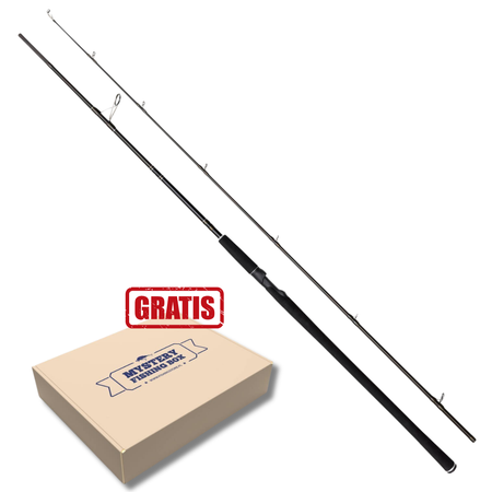 Wędka Westin W2 Powercast 248cm | XXH | 40-130g + GRATIS !!!
