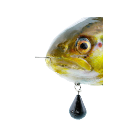 Przynęta Westin Tommy The Trout Inline 15cm | Headlight Deluxe Trout | wolno tonący
