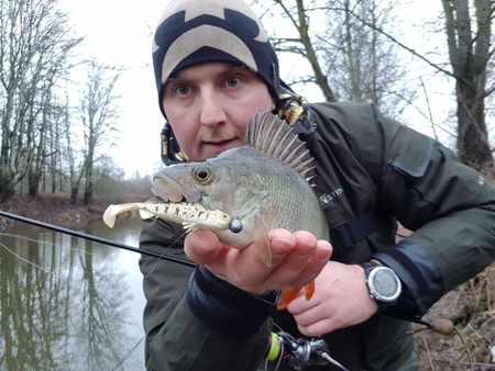 ..Guma Westin Stanley The Stickleback 7,5cm - Headlight