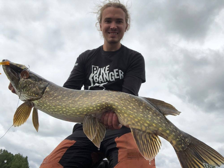Headbanger Tail 23cm - Glitter Pike - Pływający