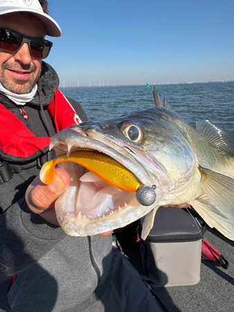 Guma Fox Rage Zander Pro Shad 12cm | Golden Shiner