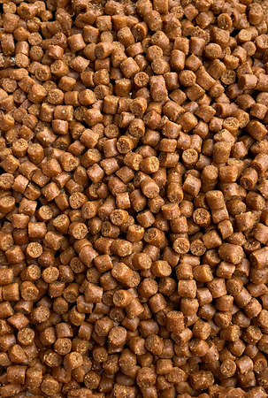 Pellet Feeder Bait 4mm | Epidemia