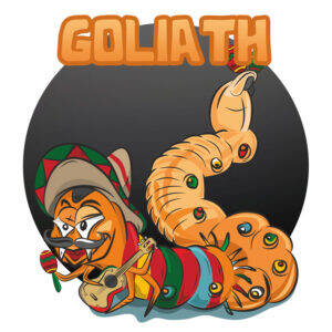 Przynęta Libra Lures Goliath 3cm | 001 - White | brak zapachu | 15 szt.