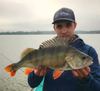Guma Keitech Easy Shiner 4" | 10,16cm | #440 Electric Shad | 7 szt.