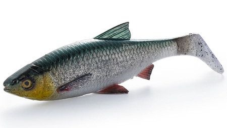 Guma Savage Gear 4D LB River Roach 22cm | Green Silver