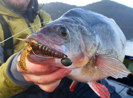 Guma Westin CreCraw Creaturebait 6,5cm | Oyster