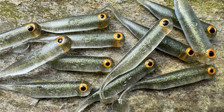 Guma Great Fish GF1 4,9cm | Natural | rybny |10 szt.
