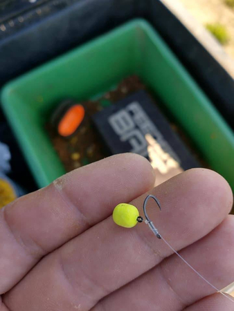 Feeder Bait Mikron Wafters  4/6mm | Karp | 25ml