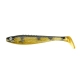 Perch Shiner