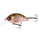 Oikawa Perch
