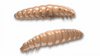 Przynęta Libra Lures Larva 3.5cm | 035 - Pellets | kryl | 12 szt.