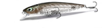 .Wobler NAYS MD MX 80 SR | 8cm | 5.8g | 0.1-0.5m | S-04