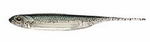 Fish Arrow Flash-J 3" - Neongreen/Sliver #03 - 1 szt.