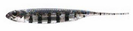 Fish Arrow Flash-J 2" - Live Gill/Silver #23 - 1 szt.