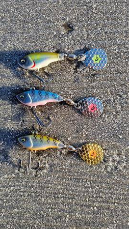 Wirujący ogonek Savage Gear Fat Tail Spin 9g | Blue Silver