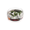 Guma Great Fish GF1 Twister Baby 3cm | Typ Od Ryb Special Edition | Bezzapachowy | 21 szt.